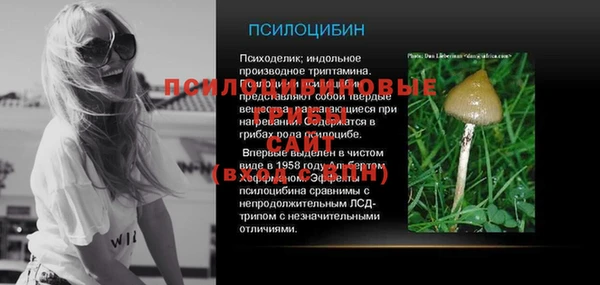 экстази Гусев