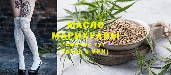 ECSTASY Гусь-Хрустальный