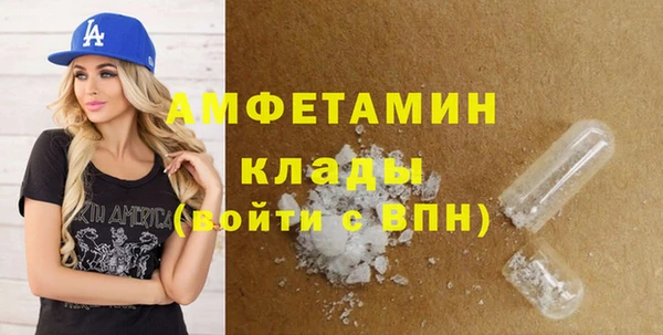 ECSTASY Гусь-Хрустальный