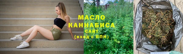 ECSTASY Гусь-Хрустальный