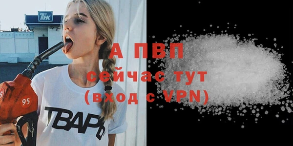 ECSTASY Гусь-Хрустальный