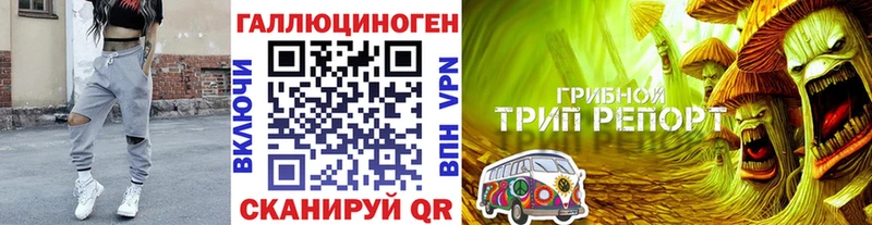 Галлюциногенные грибы ЛСД  Купить закладки  Карталы 